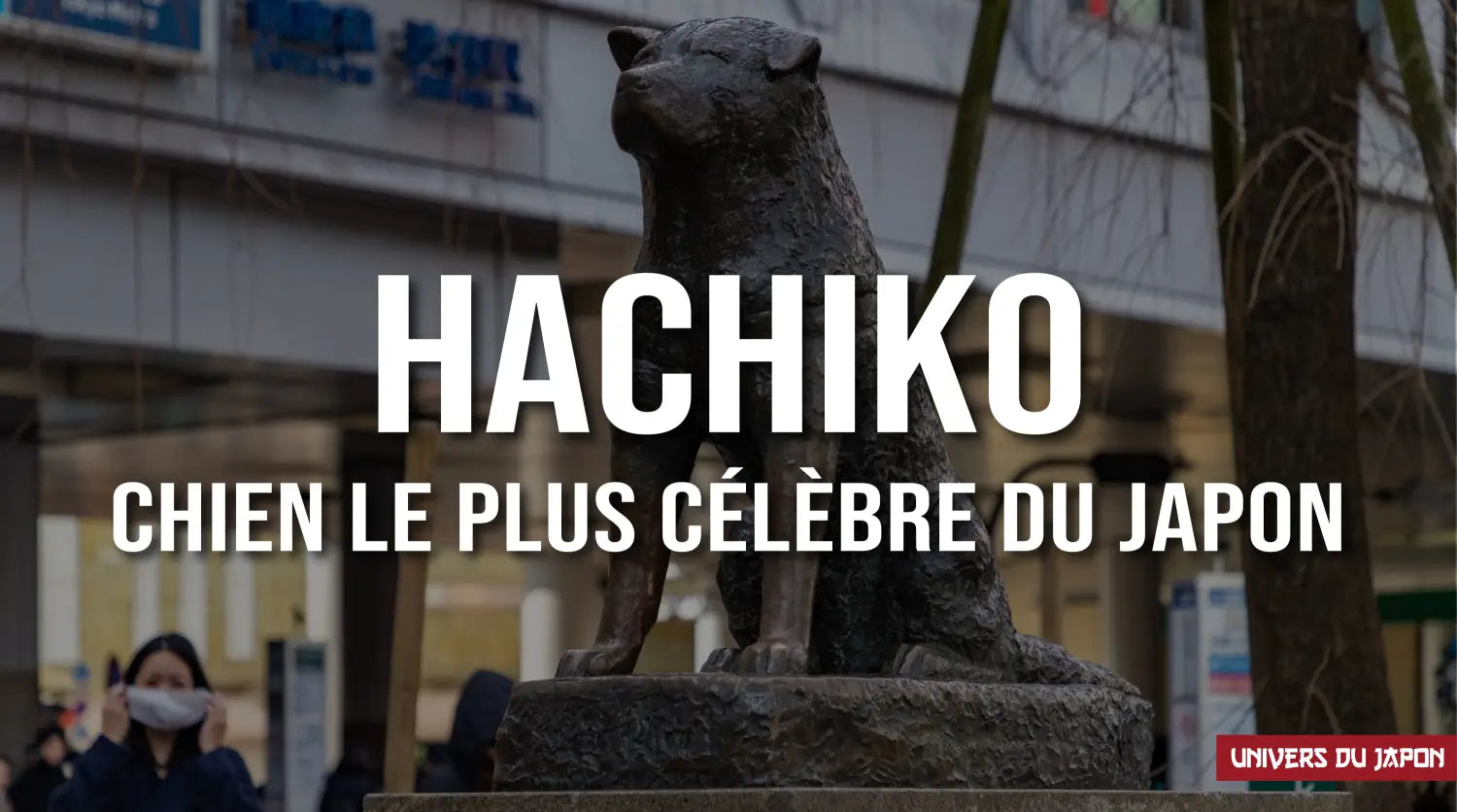 hachiko