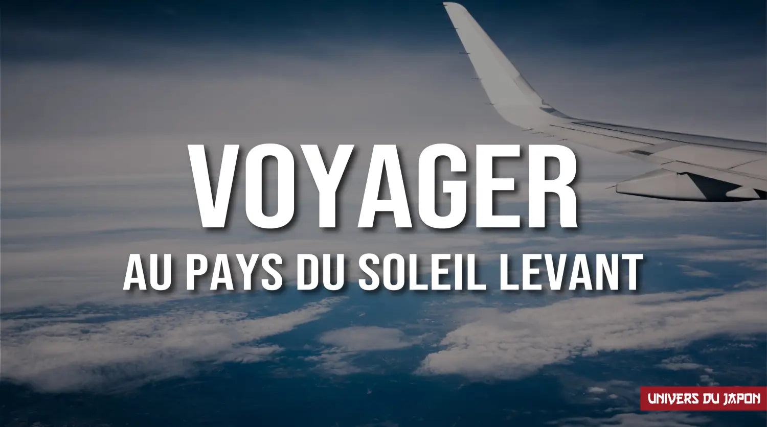 partir au japon