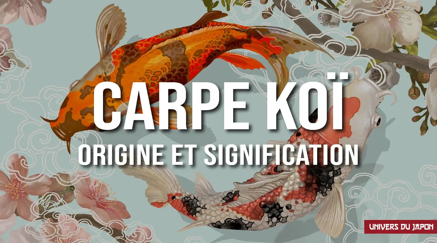Poissons de bassin : carpe Koï Japon & France - Floraquatic
