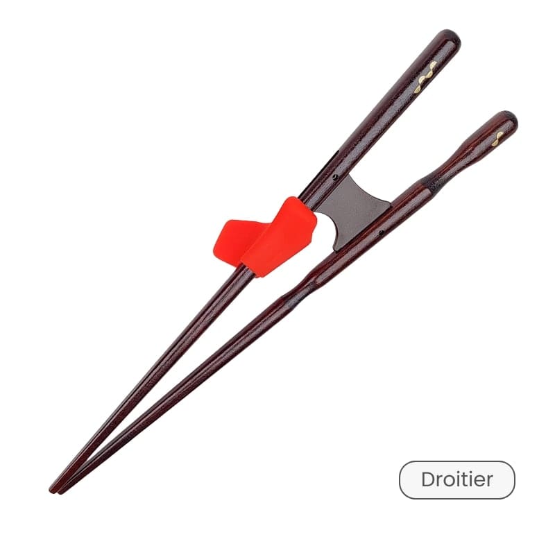 Baguettes Japonaises Apprentissage Adulte