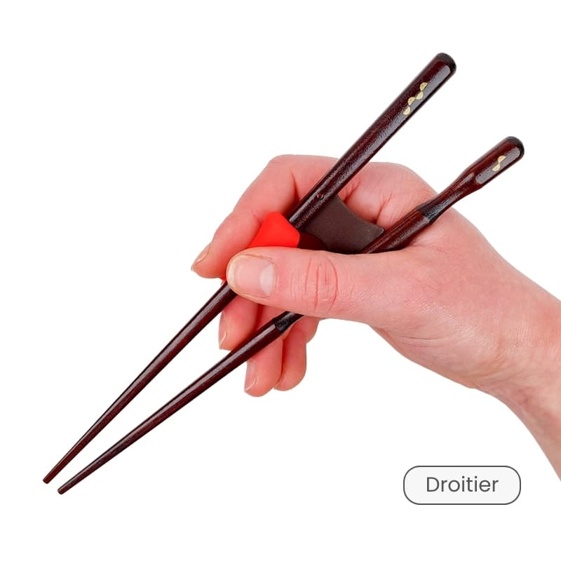 Baguettes Japonaises Apprentissage Adulte - Droitier