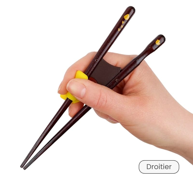Baguettes Japonaises Apprentissage Enfant - Droitier