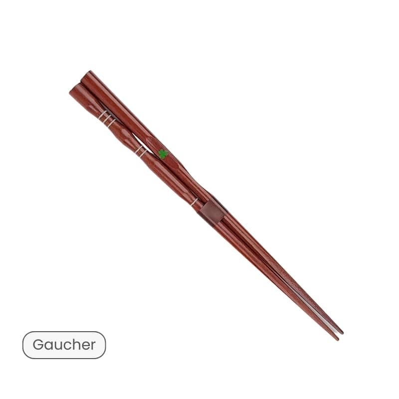 Baguettes Japonaises pour Débutants