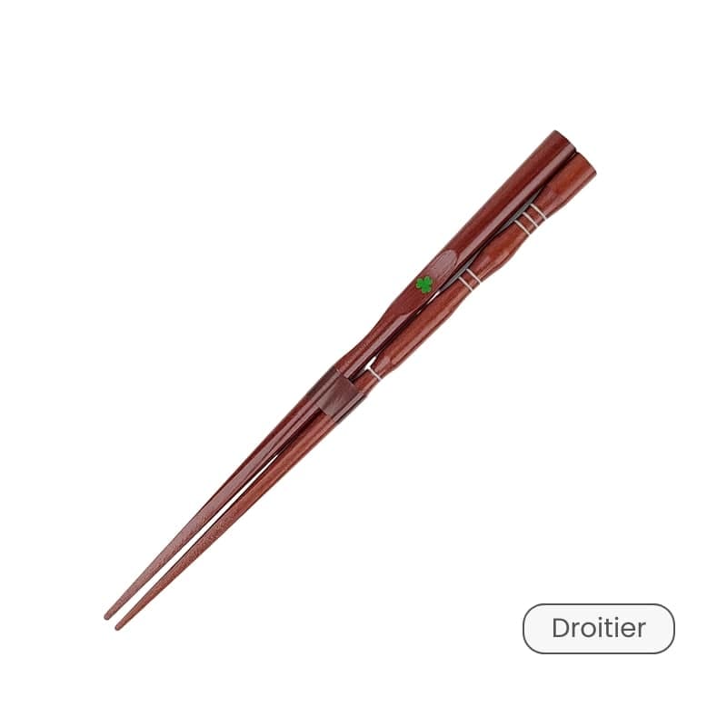 Baguettes Japonaises pour Débutants