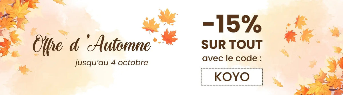 Bannière promotionnelle sur le thème de l’automne avec des feuilles d’érable orange et jaunes, proposant une offre de -15 % en texte brun sur un fond pêche doux.