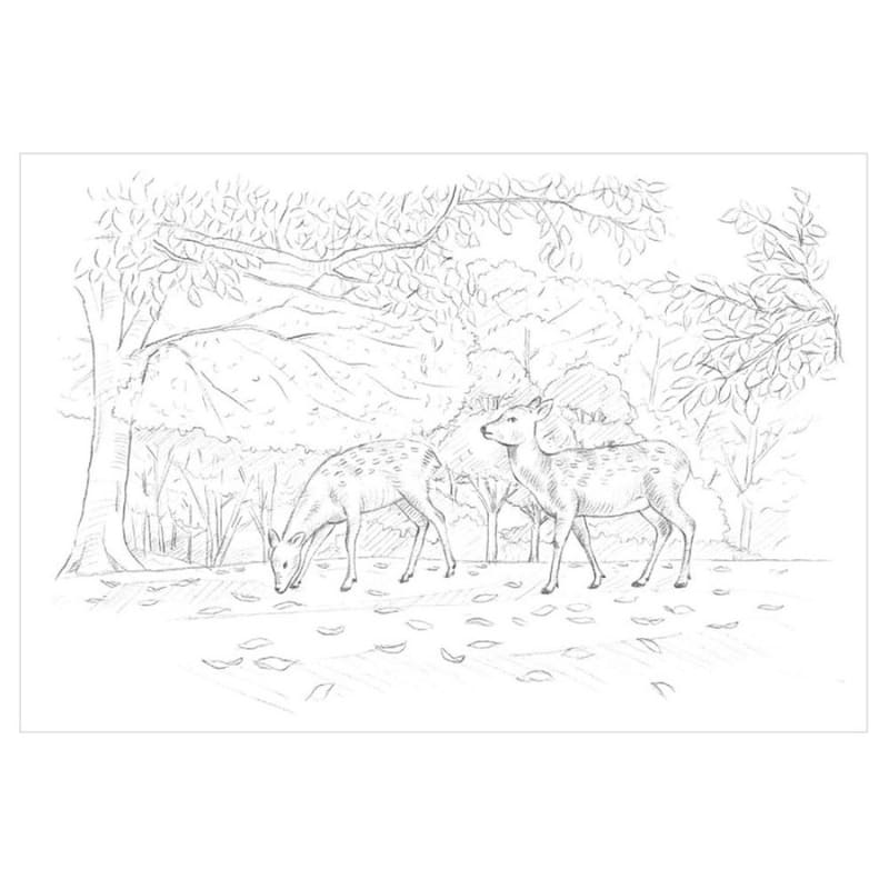 Coloriage pour Adultes: Les Quatre Saisons de Nara