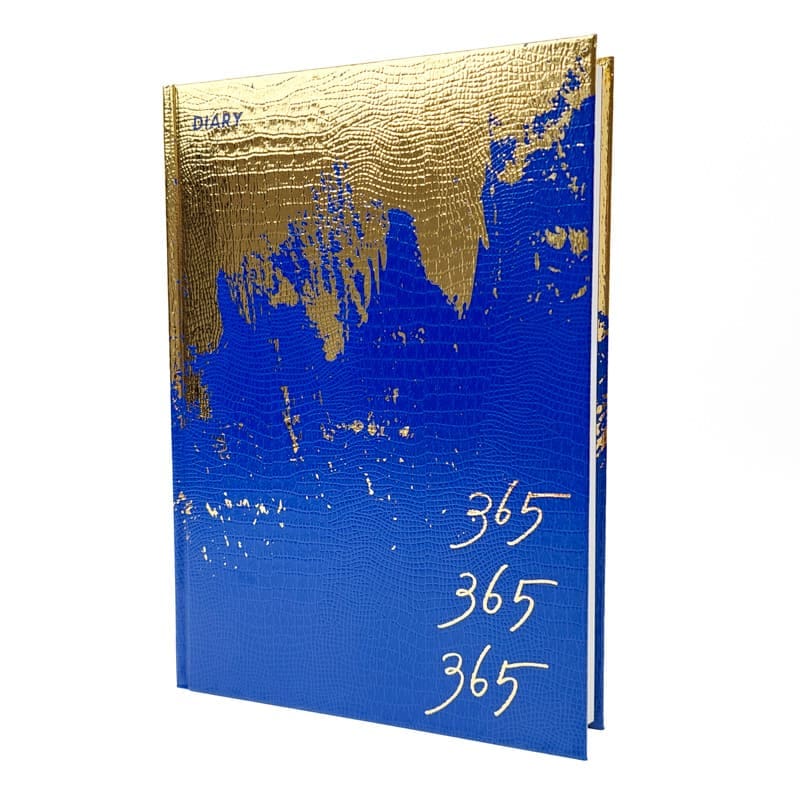 Journal de Bord Japonais - 3 ans