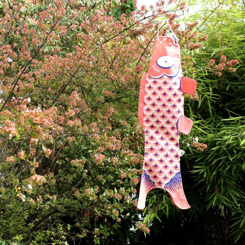 Koinobori Traditionnel Rose (S)