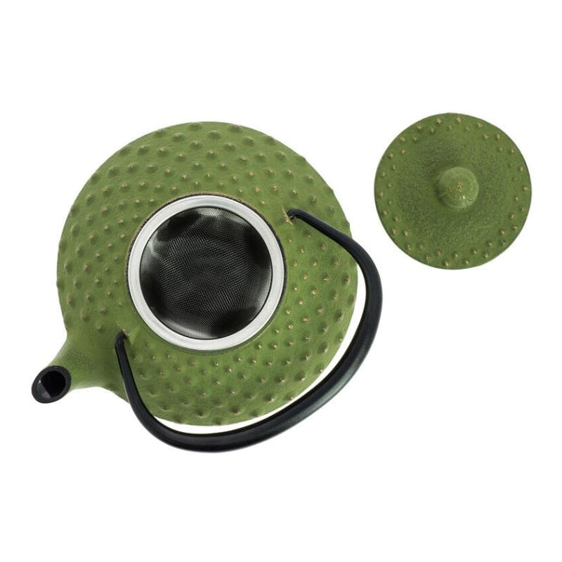Théière Japonaise Fonte Iwachu Vert 350 ml