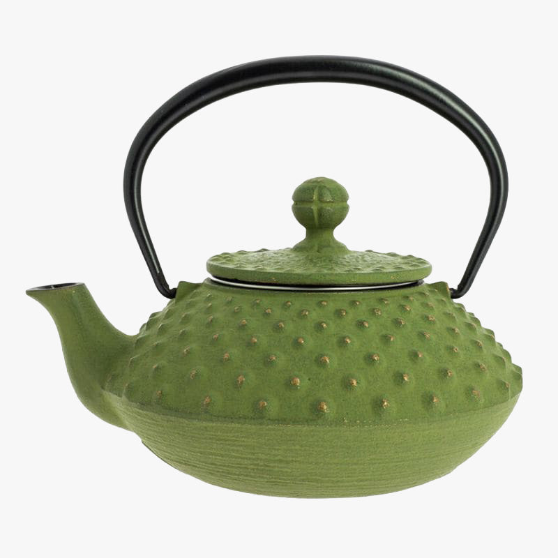 Théière Japonaise Fonte Iwachu Vert 350 ml