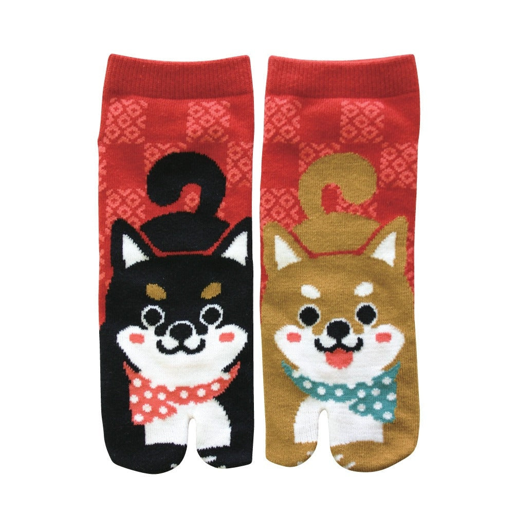 Chaussettes Tabi Shiba Inu