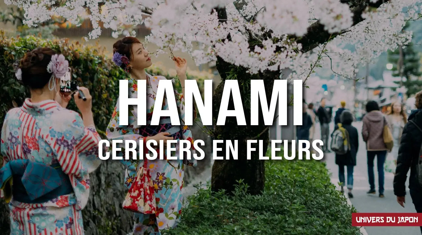 hanami, contemplation des cerisiers en fleurs