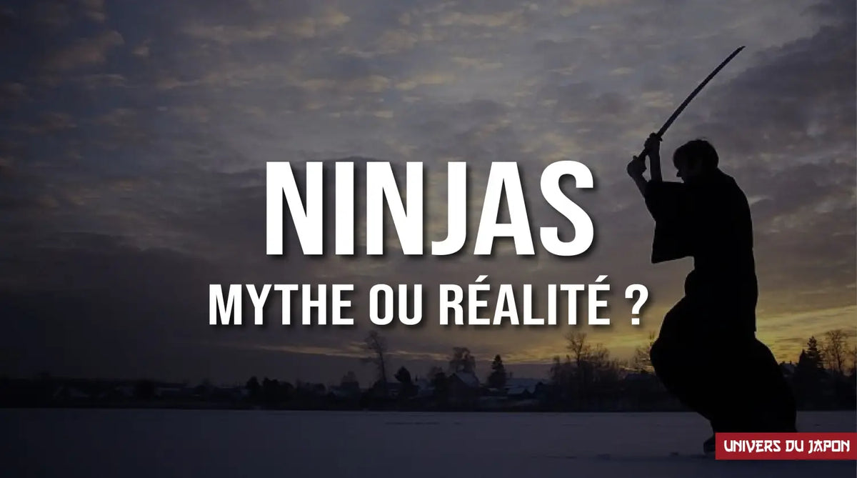 Ninja japonais : mythe ou réalité ? | Univers du Japon, image size:1200x669
