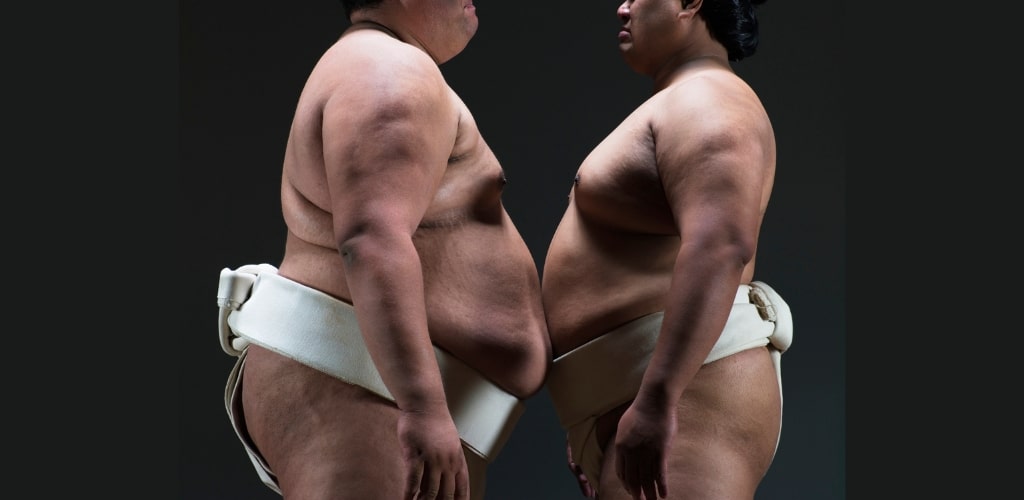 sumo