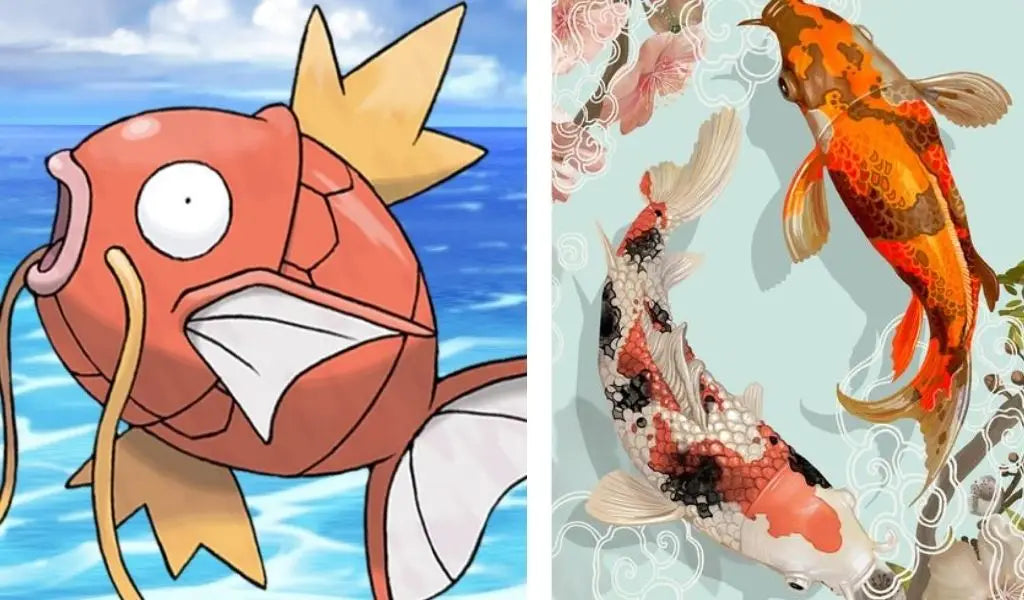 Magicarpe vs carpe koï