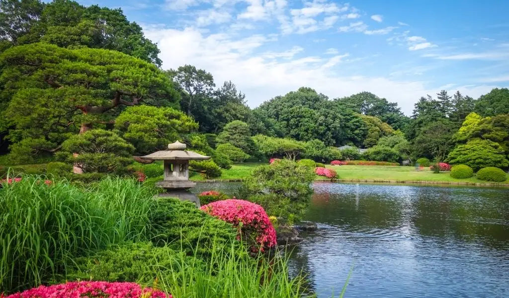 Shinjuku Gyoen