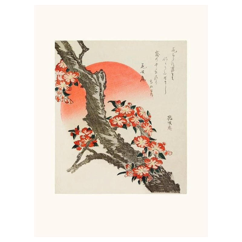Affiche Japonaise Cerisier en Fleurs - A3