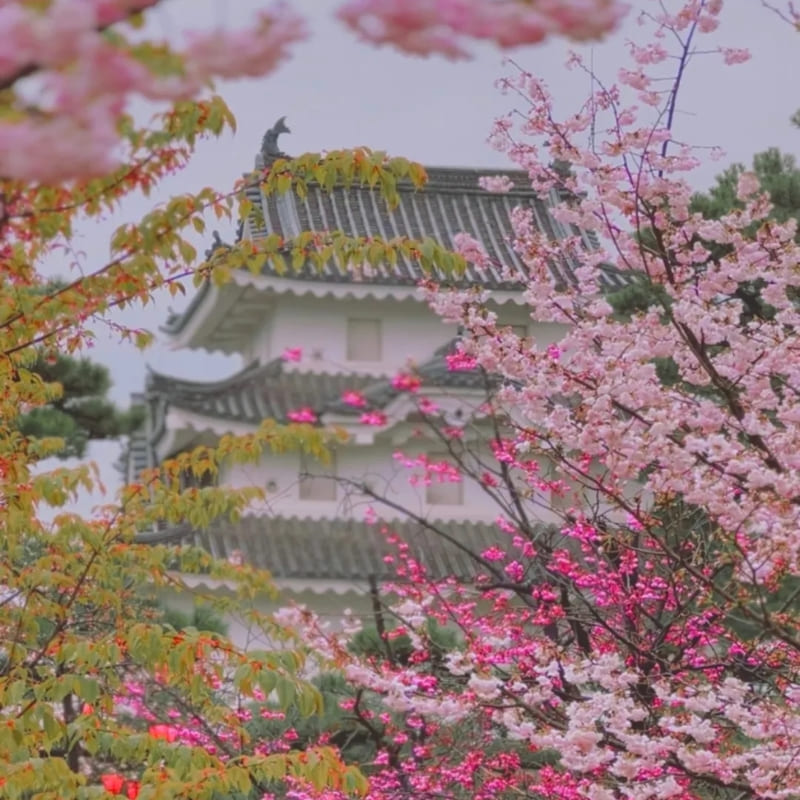Maquette Miniature Japonaise - Château de Takamatsu