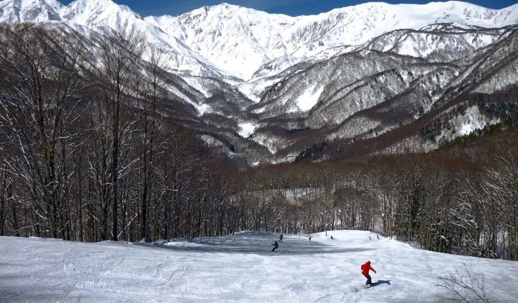 sport de glisse au japon