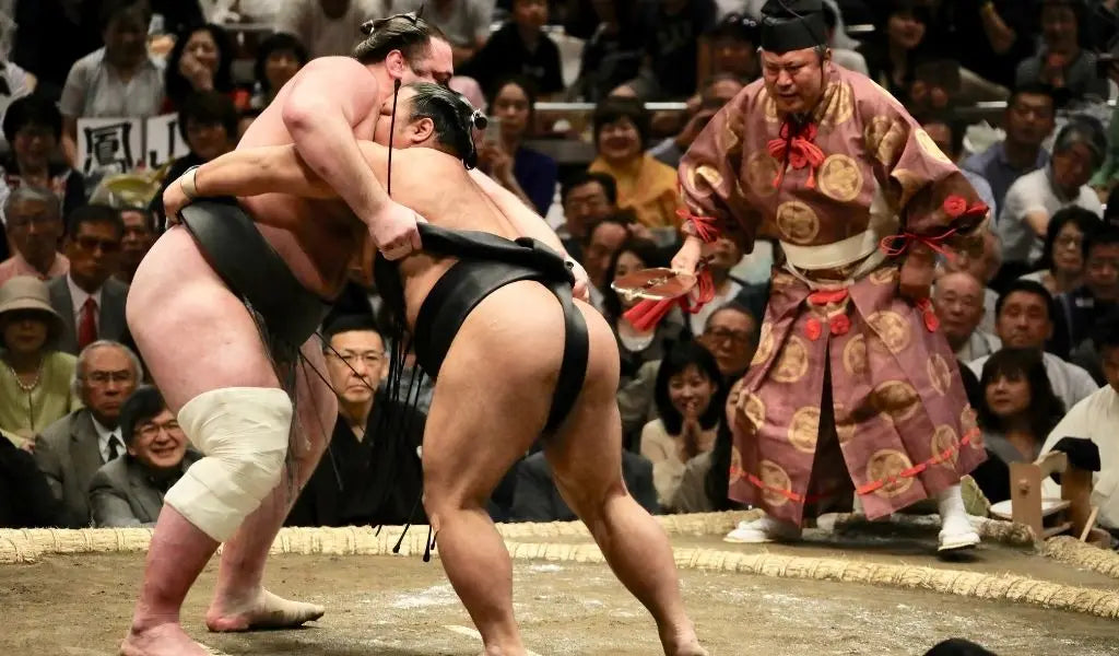 combat de sumo