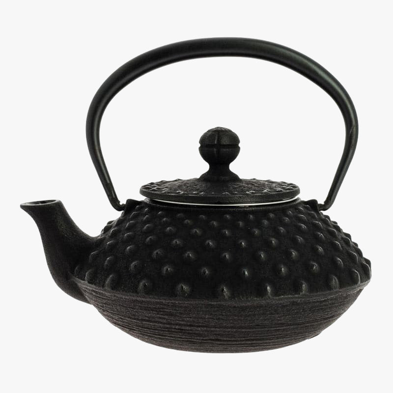 Théière Japonaise Fonte Iwachu Noire 350 ml