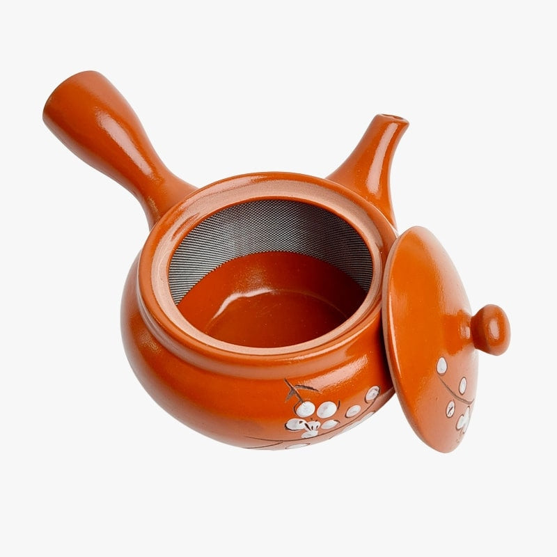 Théière Japonaise Kyusu Rouge