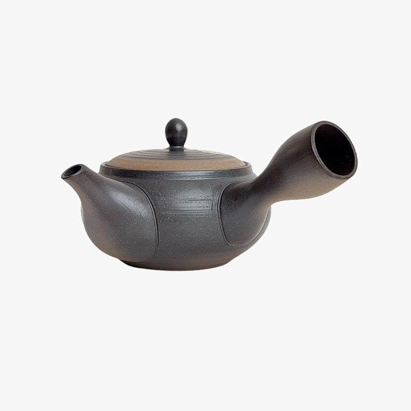 Théière Japonaise Kyusu Tokoname