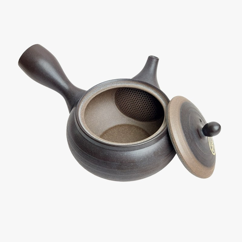 Théière Japonaise Kyusu Tokoname