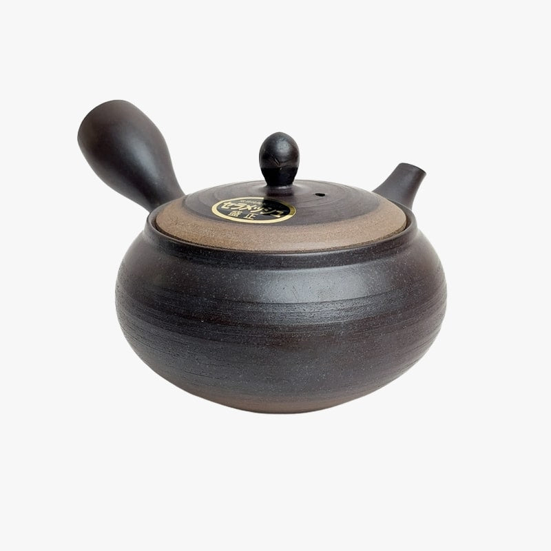 Théière Japonaise Kyusu Tokoname